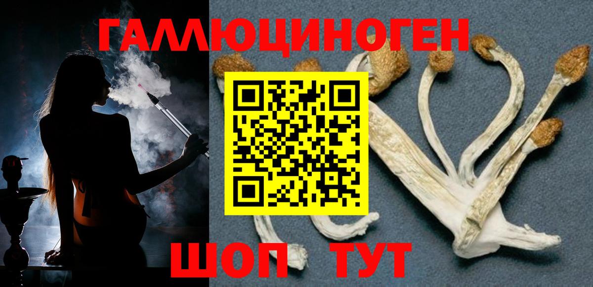 Галлюциногенные грибы Psilocybine cubensis  Вход с VPN  Первоуральск 