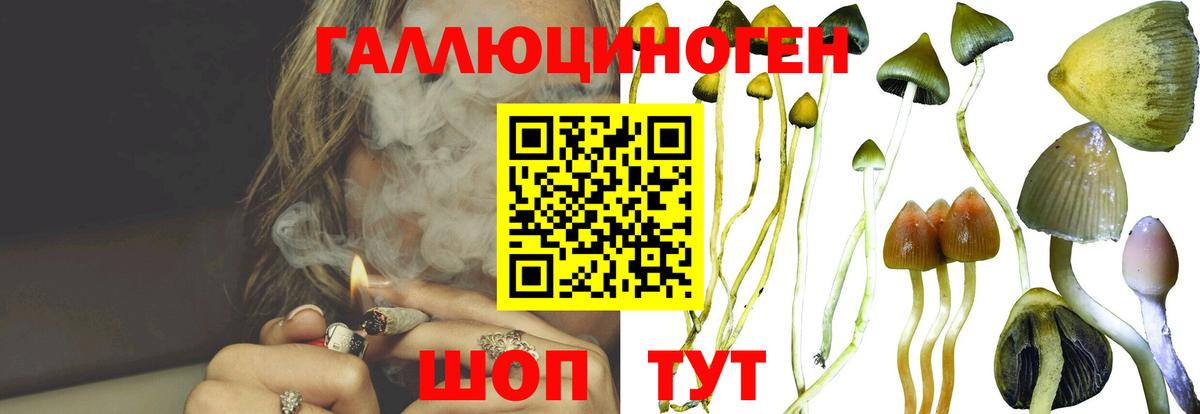 Галлюциногенные грибы прущие грибы Первоуральск
